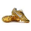 Nike Tiempo Legend Elite FG Oro Vit